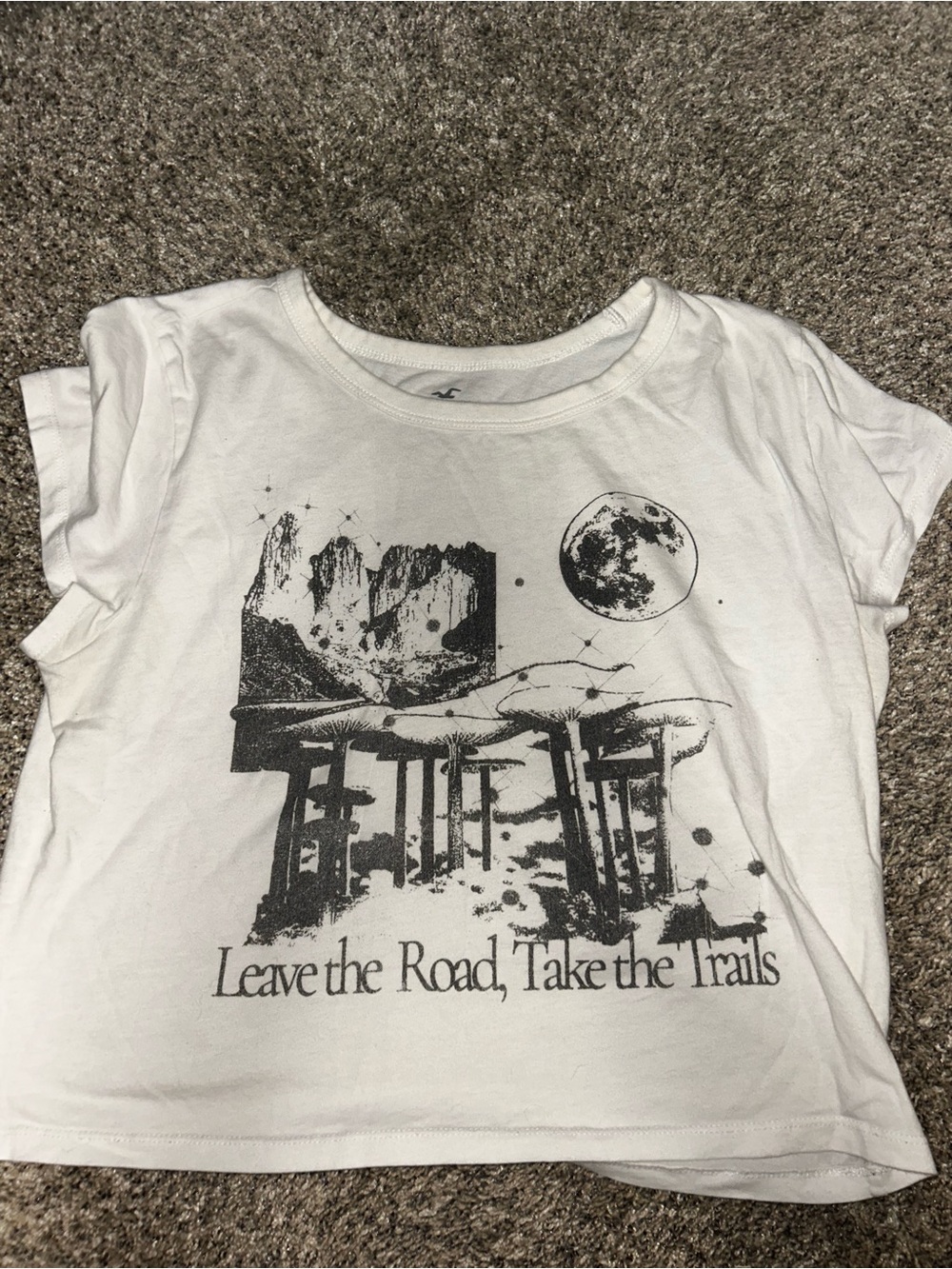 Hollister White Graphic Short-Sleeve Tee with Black Nature Print